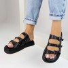 Birken Talia Birken Talia